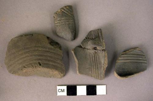 Fragments of pottery cups, profilated and plain