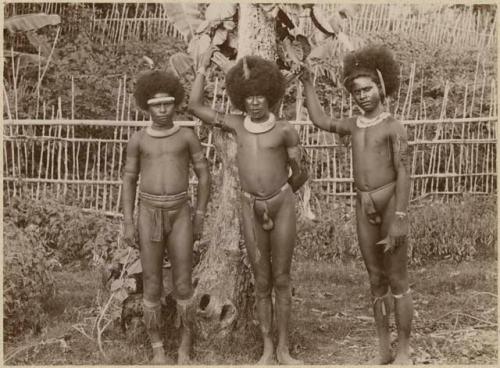 Three men standing in front of a tree