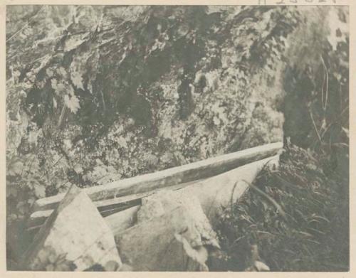 Grave on Glacier Island