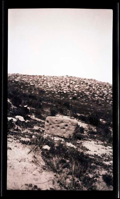 Loom anchor on surface near Mission Ruins, Awatovi, 1929