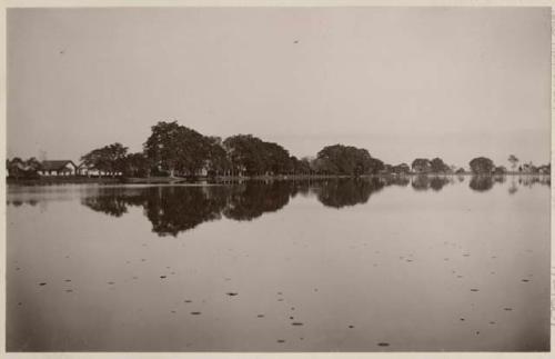 Buildings and trees along shore line