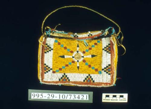 Rectangular beaded skin bag