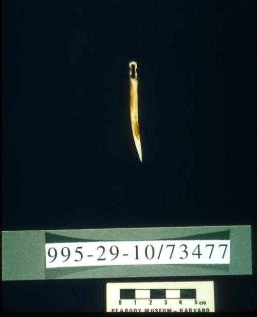 Ivory needle with large eye