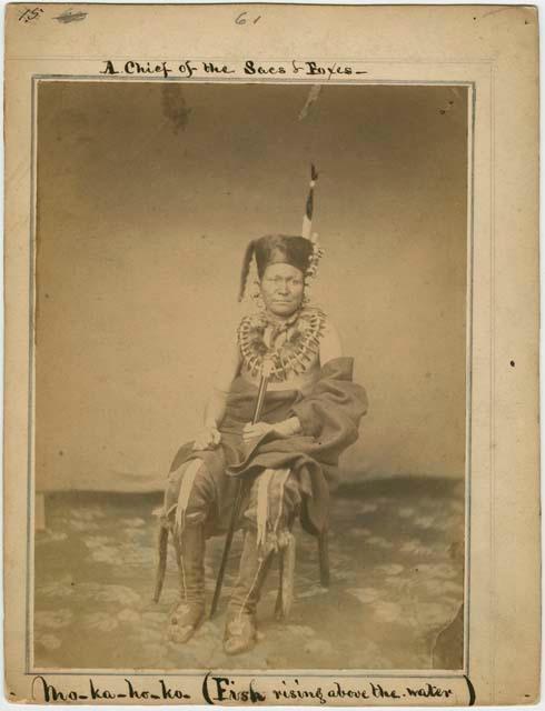 Portrait of Mo-ka-ho-ko; Chief of the Sacs and Foxes