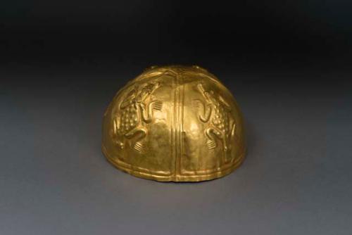 Gold helmet