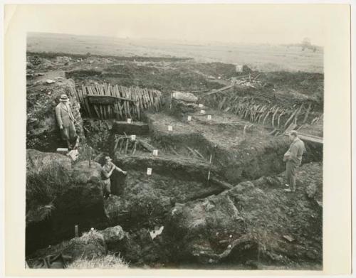 Excavation photo of lake dwellings in Co. Westmeath, Viking Age, 10th c. A.D.