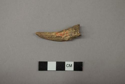 Archaeological, bone tool, perforator