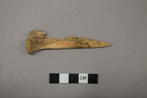 Archaeological, bone tool, perforator