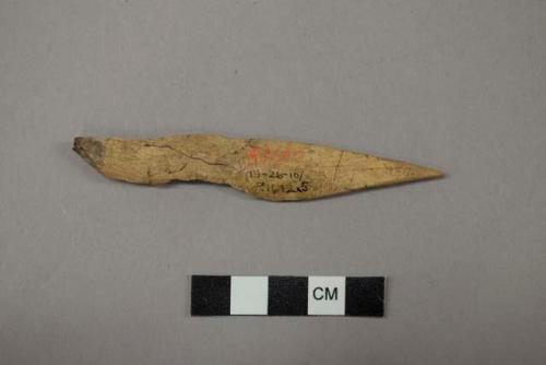 Archaeological, bone tool, perforator