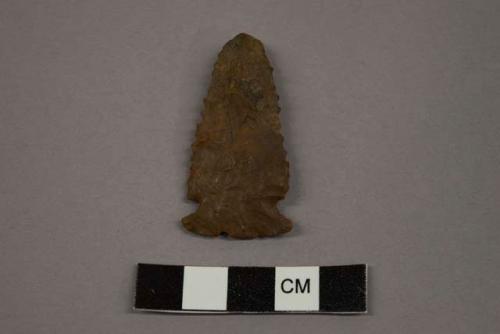 Archaeological, chipped stone, side-notched projectile point