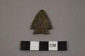 Archaeological, chipped stone, corner-notched projectile point