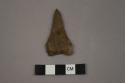 Archaeological, chipped stone, projectile point