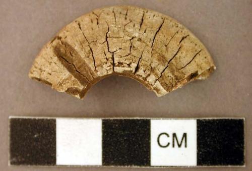 Fish vertebra fragment, worked