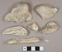 Shell fragments, 4 mortar fragments, 1 calcined bone fragment, 1 undecorated ironstone body fragment