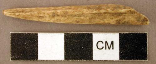 Organic, faunal remain, bone perforator, chisel-shaped, tip fragment