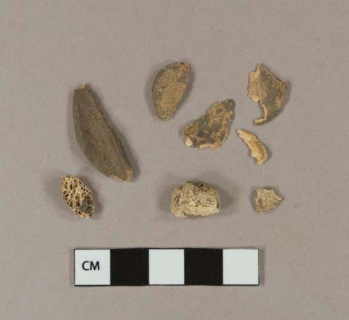 Animal bone fragments; one fragment appears to be carved