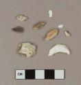 Animal bone fragments; shell fragments; clinker fragments