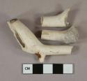 White undecorated kaolin pipe bowl bowl fragments with some stem attached