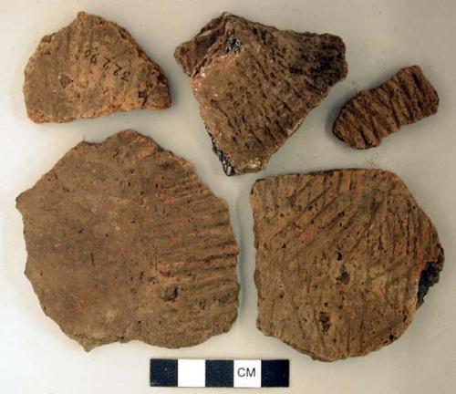 Ceramic rim and body sherds, one has a handle, impressed