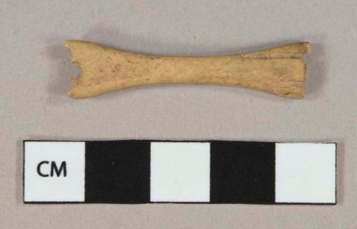 Unidentified worked bone fragment, partial holes and channels at either end