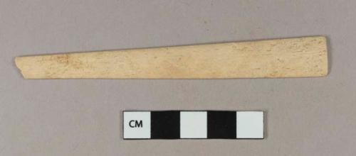 Shaped bone fragment, likely end fan strut