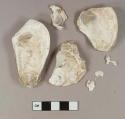 Shell fragments, probably oyster