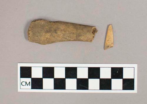 Organic, bone fragments, one worked to a point