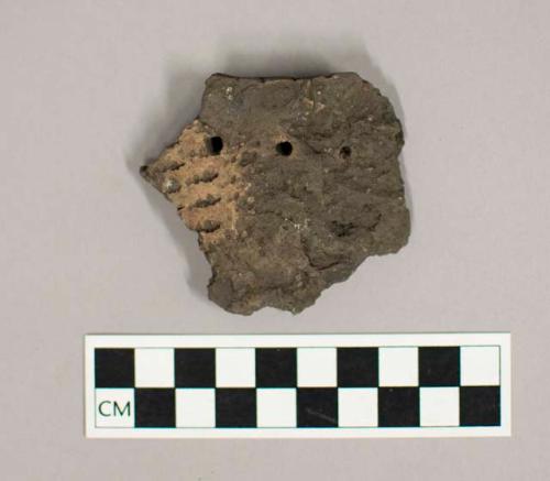 Sherd