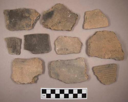 Sherds