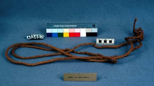 Snare, braided yucca covered with cedar bark