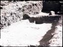 Trench, looking south, central plaza pits