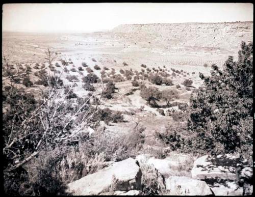 Hopi fields and orchards in Tallahogan Canyon