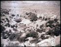 Hopi fields and orchards in Tallahogan Canyon