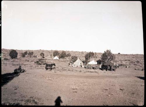 Camp from east showing mules and wagon