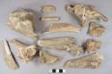 Bone fragments, likely mammal