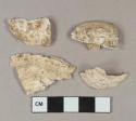 Unidentified shell fragments, degraded