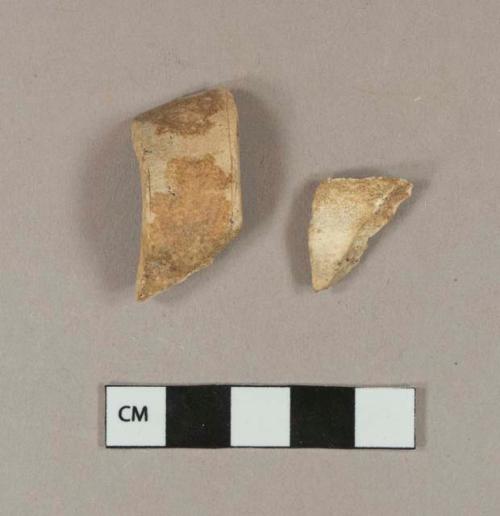 Animal bone fragments with butchery marks