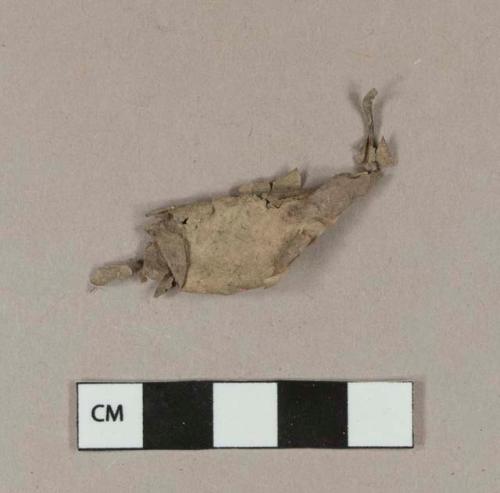 Non-cultural leaf fragment