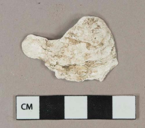 Shell fragment, possibly oyster