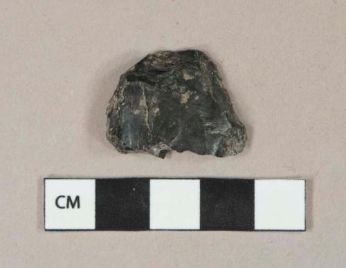 Unburned coal fragment