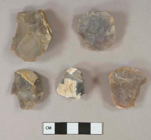 5 flint cores and core fragments