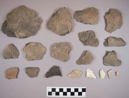 Sherds and shell fragments