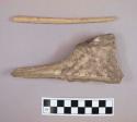 Large bone fragments