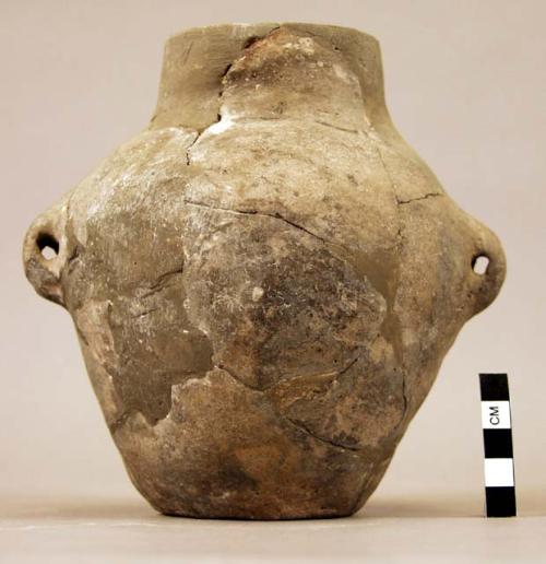 Undecorated pottery amphora with 2 lug handles