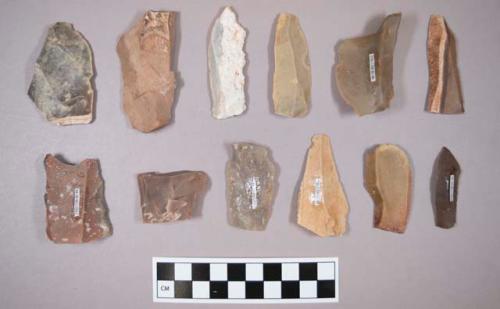 Flint flakes, including tan, grey, cream, brown, blueish grey and red colored stone, some contain cortex