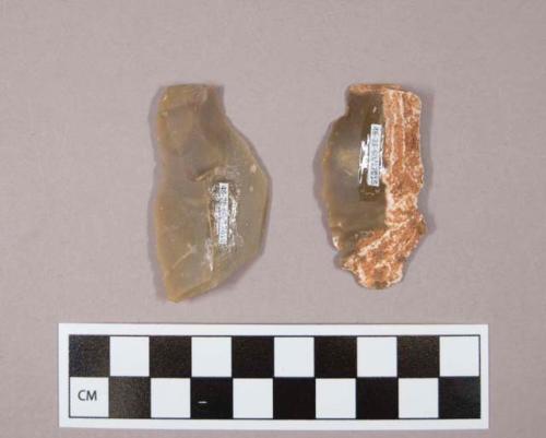 Flint flakes, including grey and tan colored stone, one contains cortex