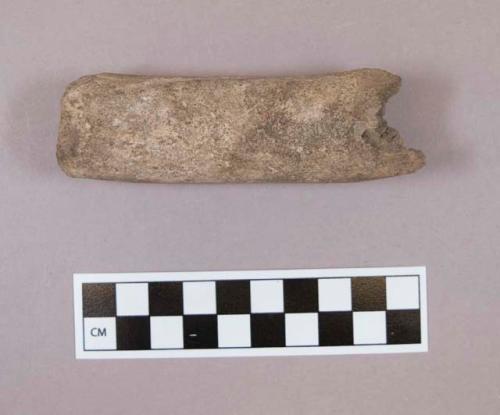 Bone fragment