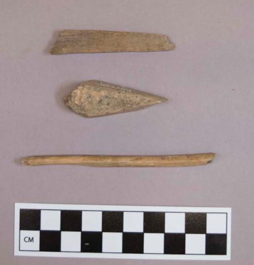 Animal bone fragments, two worked