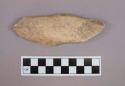 Bone fragment