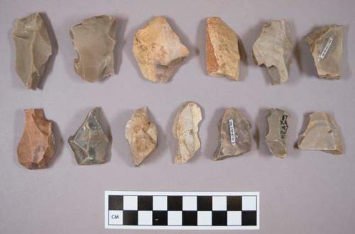 Flint flakes, including grey, blueish grey, pink and tan colored stone, some contain cortex